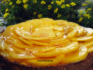 pastel de queso con melocotones de calanda en movimiento