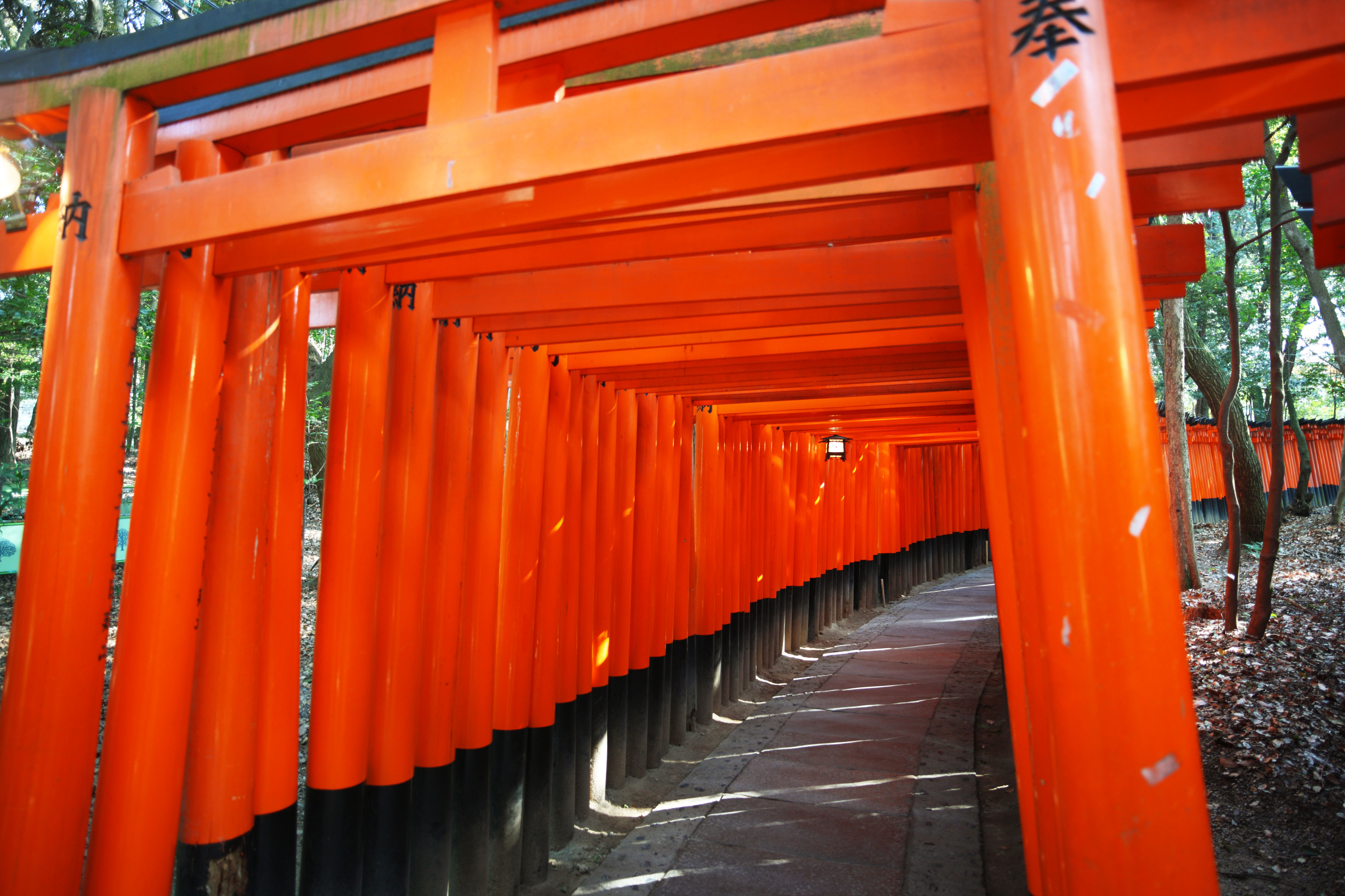 ゆんフリー写真素材集 No 8727 伏見稲荷大社 千本鳥居 日本 京都
