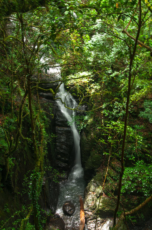 DSC_4886