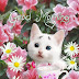 How Do You Sign Good Morning In Asl / Common greetings presented in american sign language.