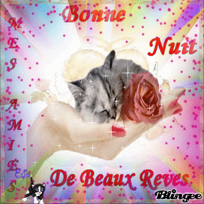 Image result for bonne nuit blingee