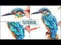 Bird Sketch Color