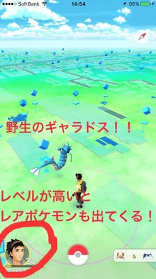 野生でレアポケモンと遭遇 ポケモンgo専用sns情報掲示板コミュニティ イベント ポケチュウ