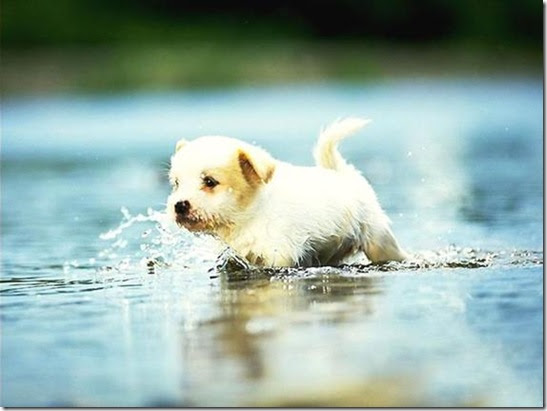 Картинка 211 из 3983