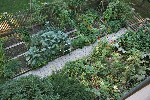 garden aerial