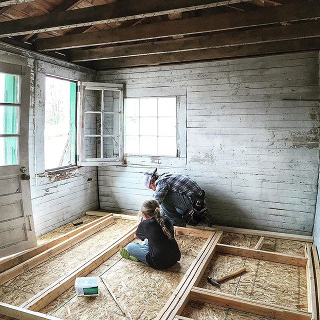 Chicken Coop Progress - Ashley Hackshaw / Lil Blue Boo
