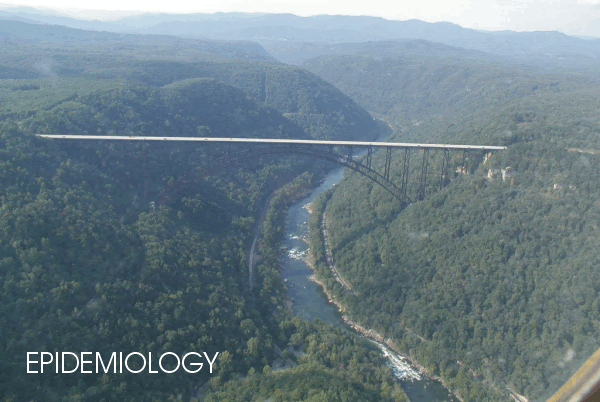 Picture Of West Virginia S New River George Bridge Wv Dhhr Bph Oehp Dsdc Idep A Z Link West Virginia Bureau For Public Health Bph Infectious Disease Epidemiology Program Idep The West Virginia Infectious Disease Epidemiology