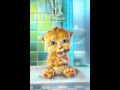 Geburtstagsgrüße Video Whatsapp