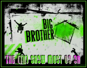 Big Brother 11 Blog Logo