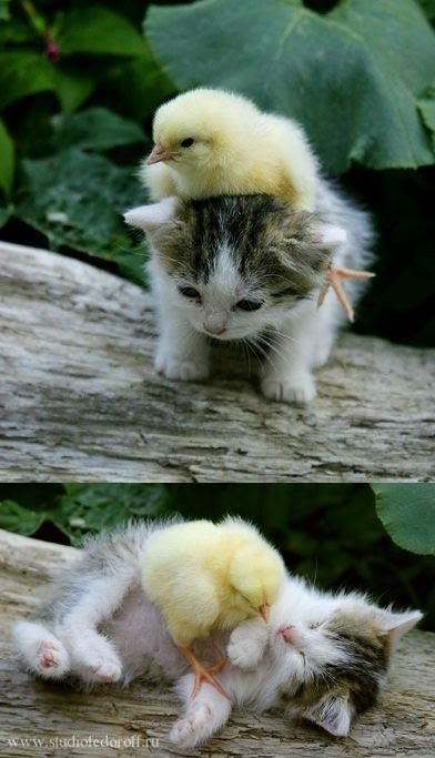 So adorable