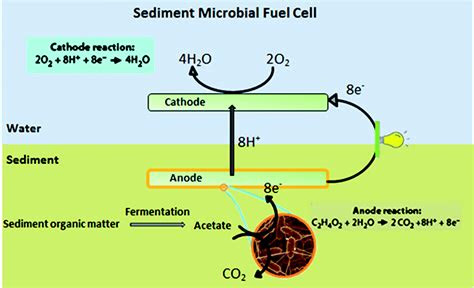 sediment microbial fuel cells    source  renewable