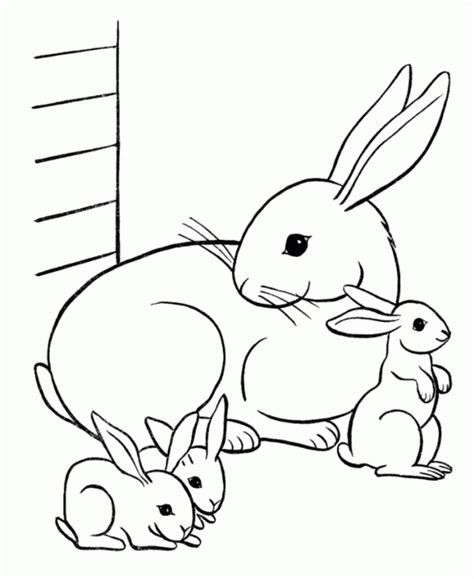 There are tons of great resources for free printable color pages online. bunny coloring pages best coloring pages for kids