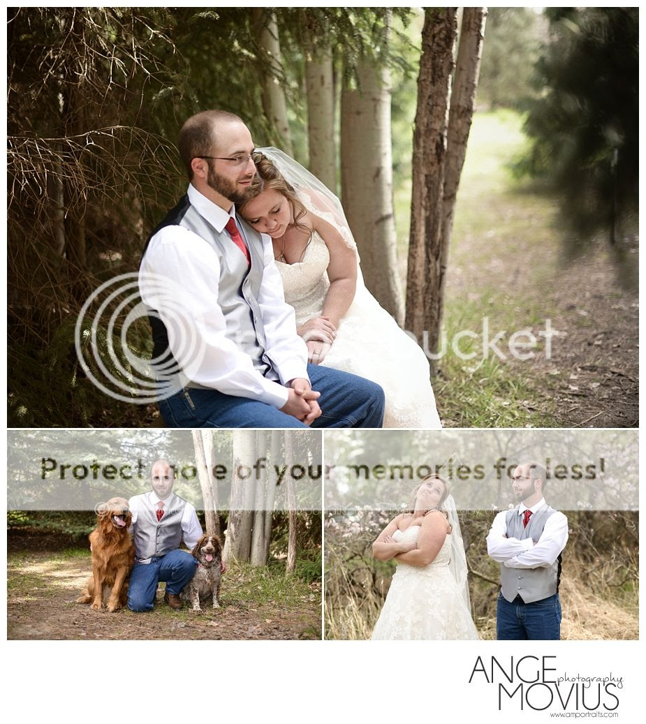  photo image_-144_blog.jpg