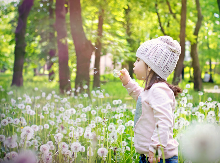 フリー写真 たんぽぽの綿毛を吹き飛ばす女の子でアハ体験 Gahag 著作権フリー写真 イラスト素材集