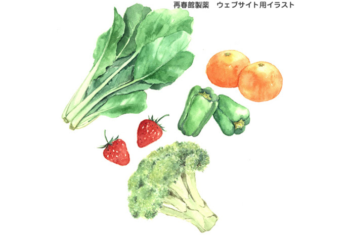 水彩画ギャラリー 野菜の数々を掲載 高塚由子の食材 食べ物 素材集