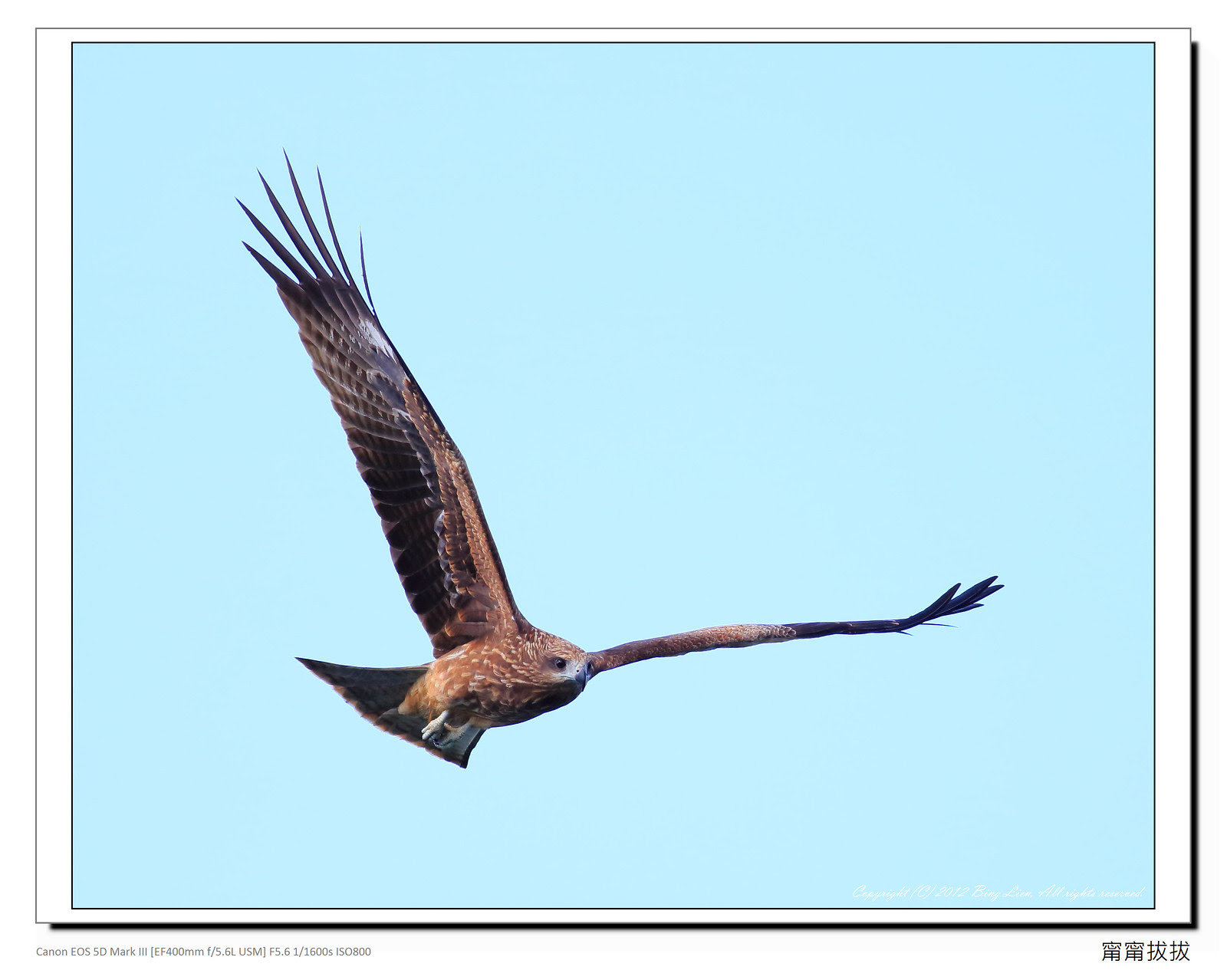 frame_BING6464