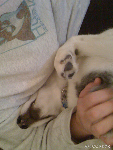 IMG_4351 Dave snuggling