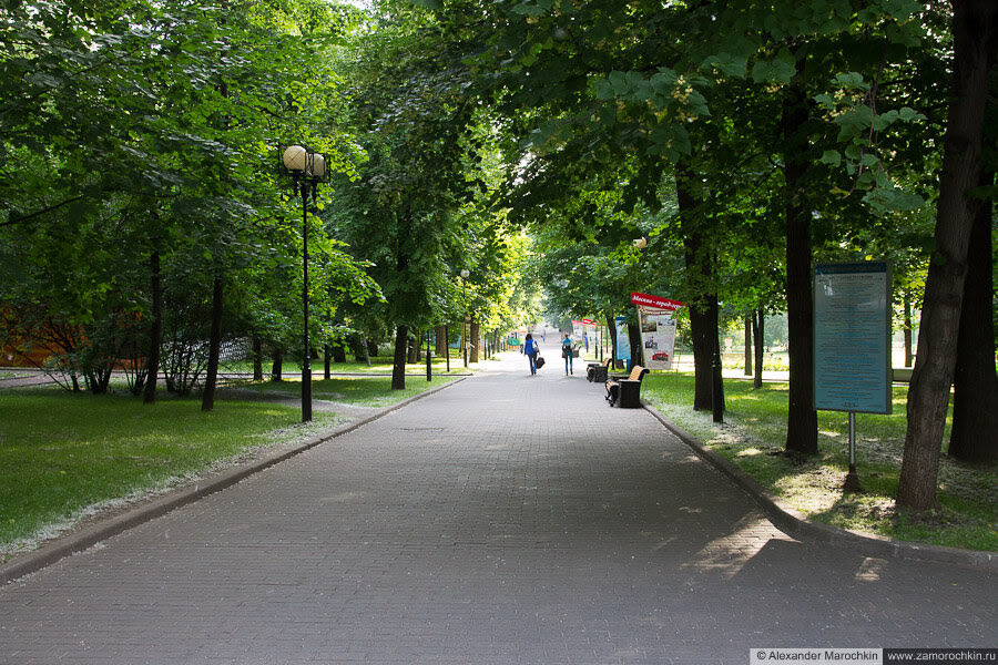 Аллея в Екатерининском парке в Москве
