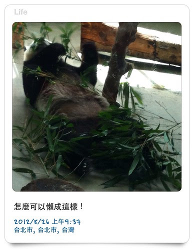 無標題