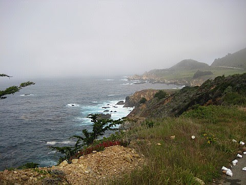 IMG_3526.JPG