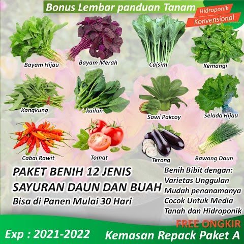 biji benih sayur daun harga