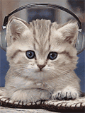 Gato ouvindo música - Recados e Imagens para orkut, facebook, tumblr e hi5