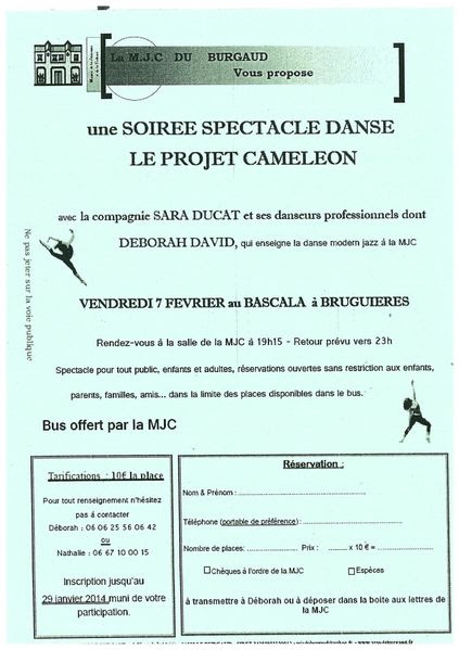 soiree-spectable-danse.jpg