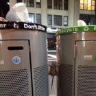 Master Splinter spotted