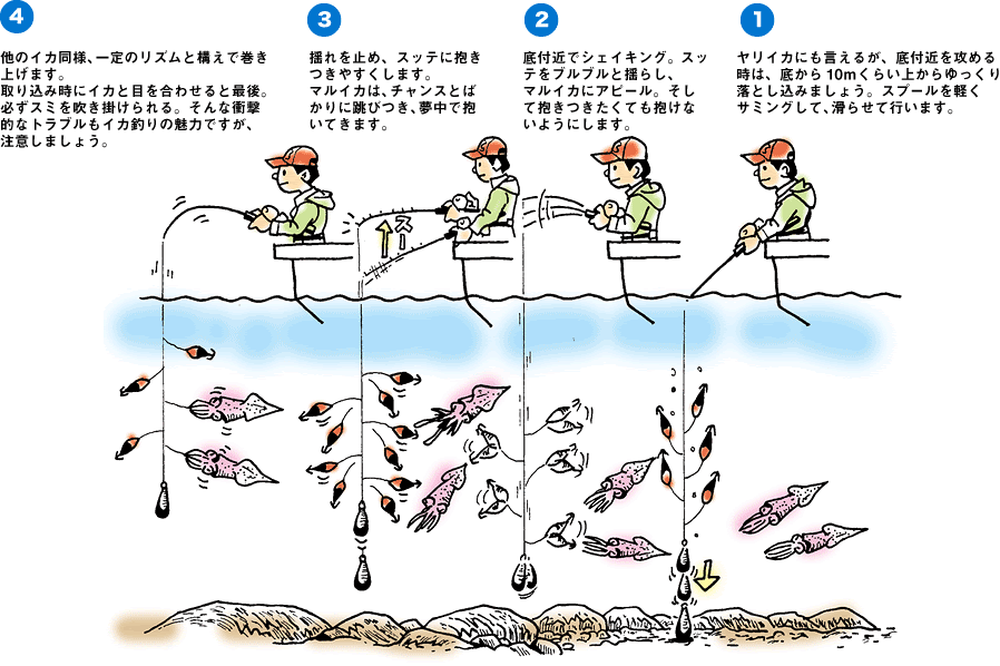 Daiwa 27 各種イカ スルメイカ ヤリイカ マルイカ をプラヅノ スッテを使った胴突き仕掛けで釣る Web Site