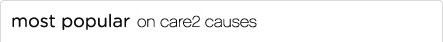 most popular blogs on care2 causes
