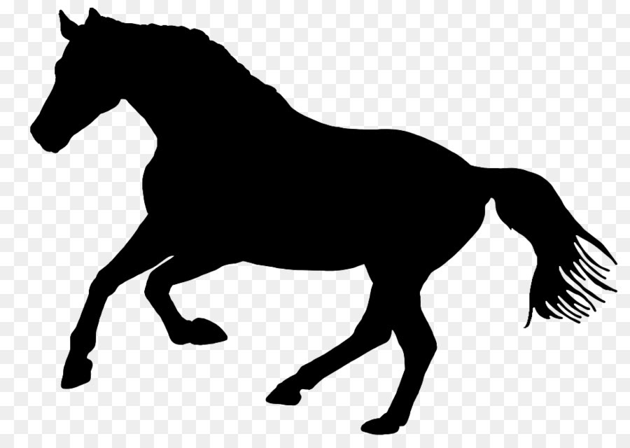 Download Free Horse Silhouette Svg Download Free Horse Silhouette Svg Png Images Free Cliparts On Clipart Library