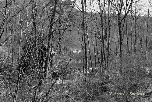 View of Home from Beaver Dam 5 (2 of 4).jpg