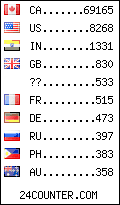 visitors by country counter