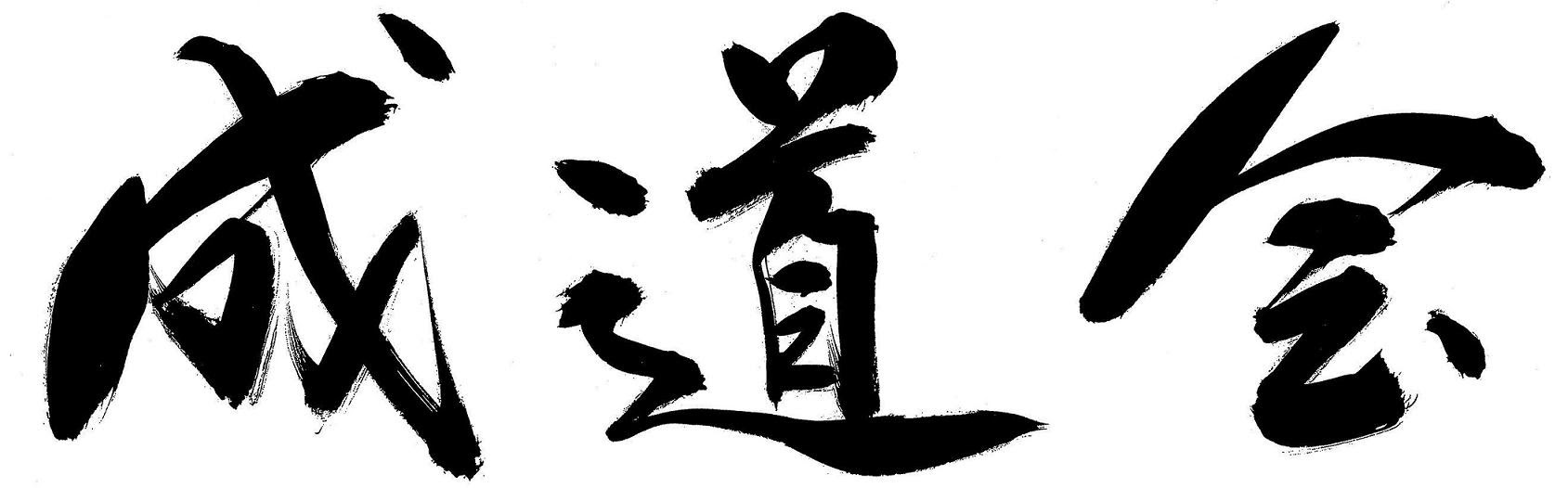 国際空手道連盟 玄制流 成道会