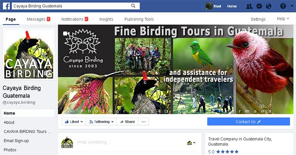 Birding News Birdingnews Via Aba :: CONTOH TEKS
