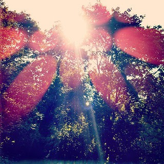 Here comes the #sun #trees #newhampshire