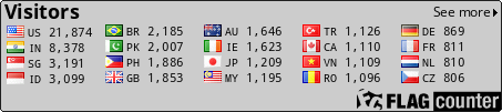 Flag Counter