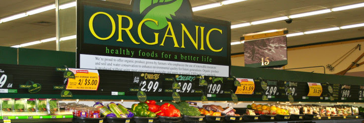 Organic-Healthy-Foods-For-a-Better-Life_735_250