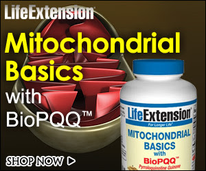 Mitochondrial Energy Optimizer - Life Extension