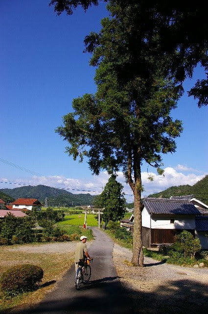 三田 篠山徘徊野営編 ９ 夏の田舎の風景 道草画日記 愉し 低速徘徊な日々