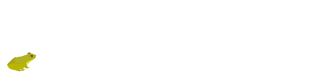 Frog Animation 1