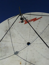 dish