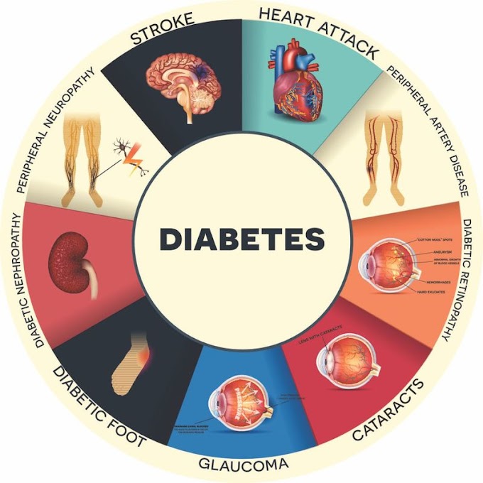 Symptoms Of Diabetic Eye Disease - Preventing and Treating Canine Diabetes | The Bark