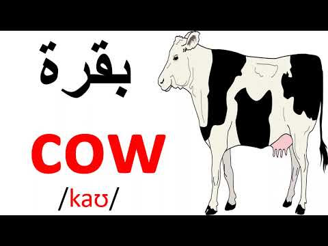صورة