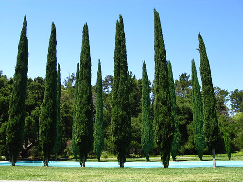 Pulgas Water Temple