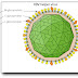 Delta Virus Family / Former Delta College student remembered - The variant is gaining traction worldwide.