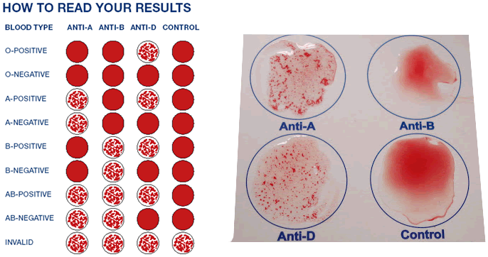 blood group test at home