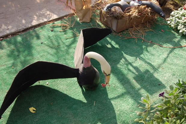 ff_rasm_p_swan_gourd