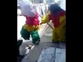 DOG  HARASSE AND PURSUE MASQUERADE DURING DANCE PARADE