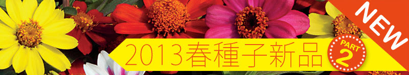 2013春播種子第二波新品到貨